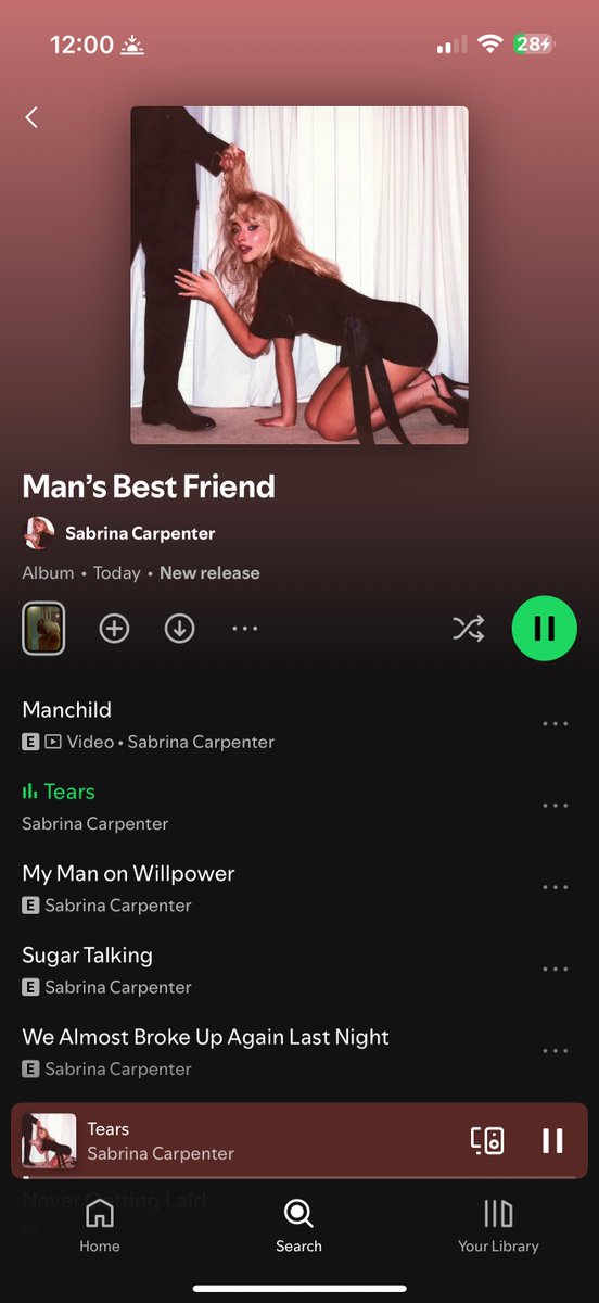 pastlifeari's tweet image. HERE WE GOOOO #MansBestFriend @SabrinaAnnLynn