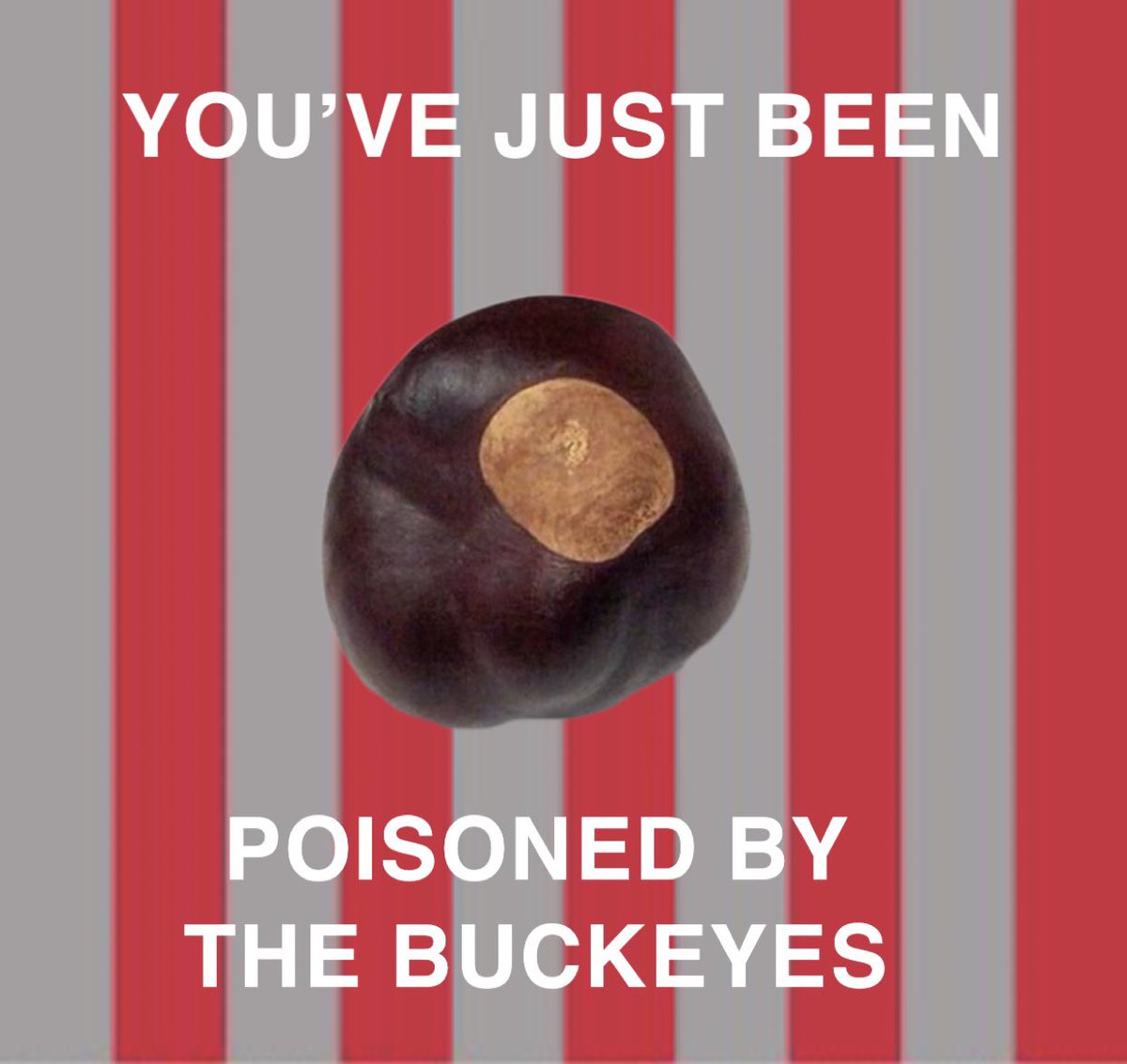 Buckeye version?