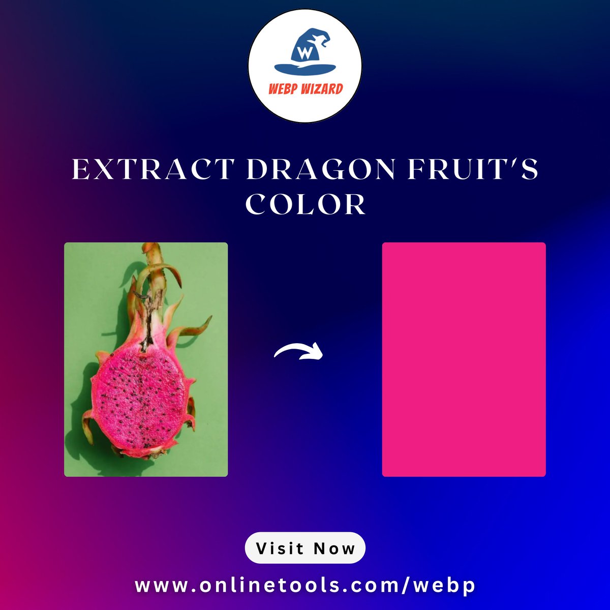 WebpWizard's tweet image. In this example, we load a WebP image of a dragon fruit and extract the color of a single pixel in it.

Try our Tool: onlinetools.com/webp/pick-webp…

#webp #colorpicker #colortool #colorpalette #webdesign #uiux #graphicdesign #devtools