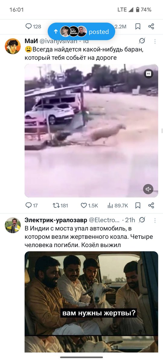 ой всё во время чумы (@shalfeyshur) on Twitter photo 