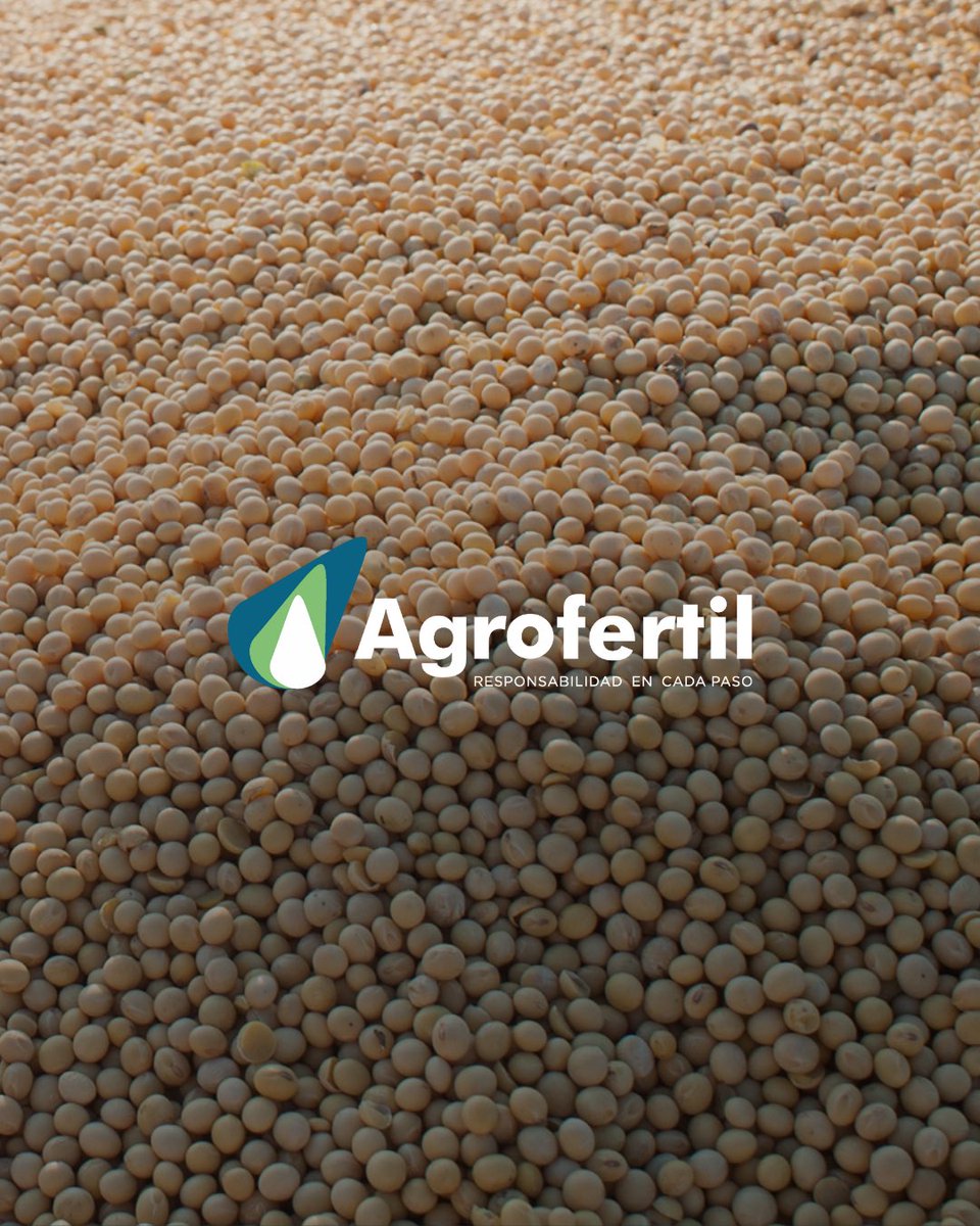 Medir el vigor (test de envejecimiento acelerado) te permite: 

✔️ Anticiparte a problemas de implantación
✔️ Elegir mejor el lote de semilla
✔️ Tomar decisiones de manejo más precisas
📌No alcanza con saber cuántas semillas germinan. Hay que saber cómo lo hacen. 💪