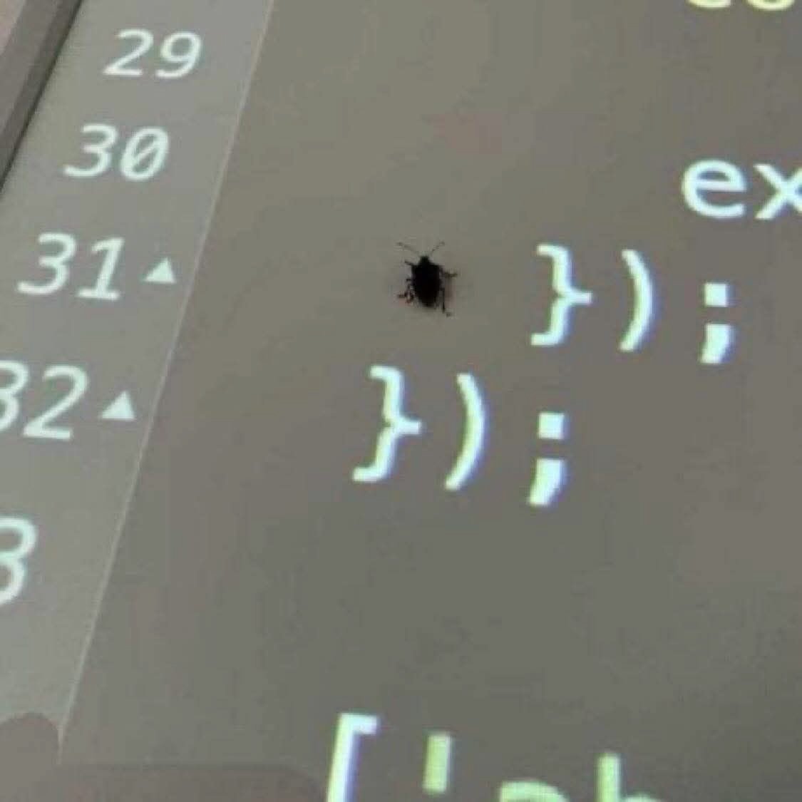 Luciano Patrão (@luciano_pt) on Twitter photo Can you please fix the bug in line 31? 🙄🙄
#bugs #codebugs Can you please fix the bug in line 31? 🙄🙄
#bugs #codebugs