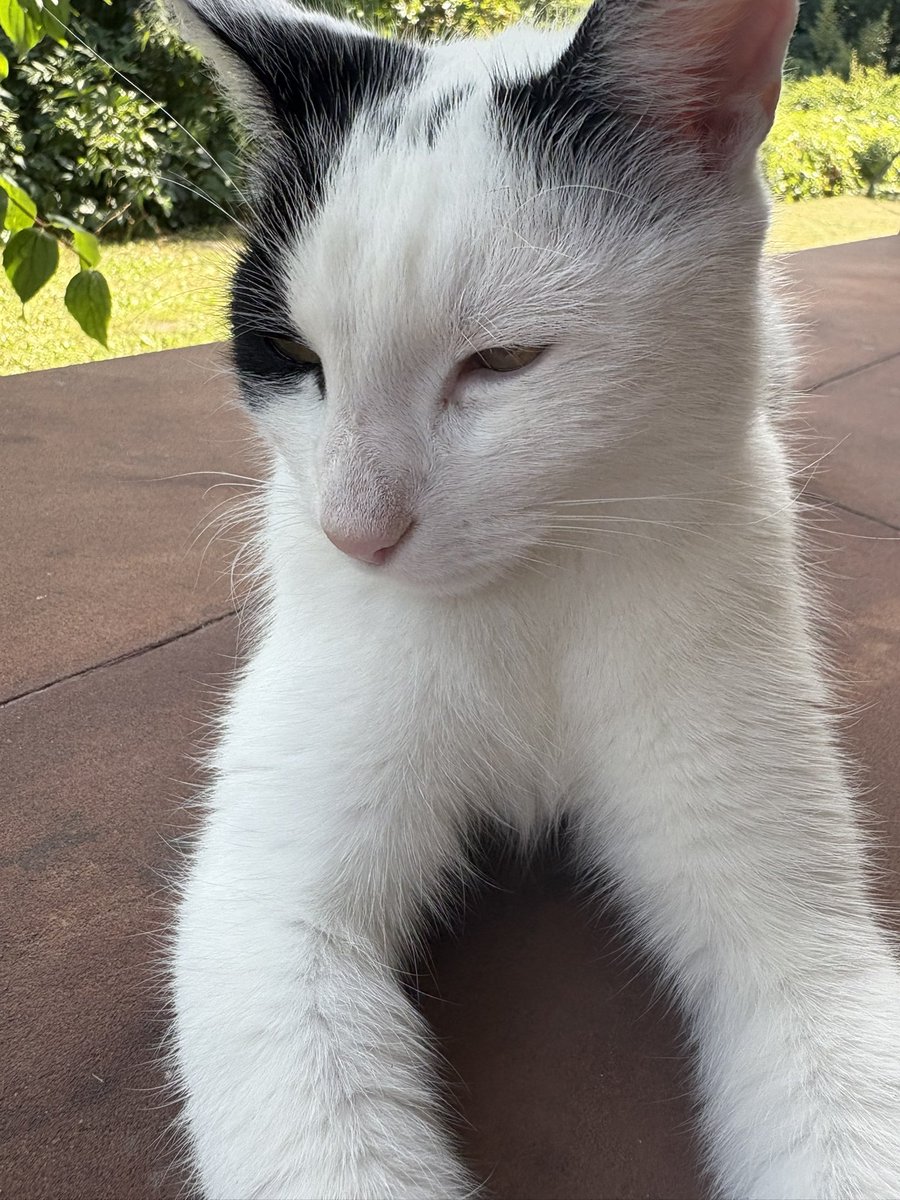 pondering .. .. ♪ 。♪