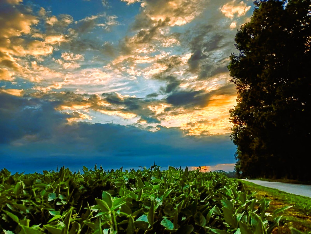 Sunrise over the bend of Honey Creek in southern Vigo County ... It's Thursday, Hauteans. #thursdayvibes #sunrise #sunrisephotography