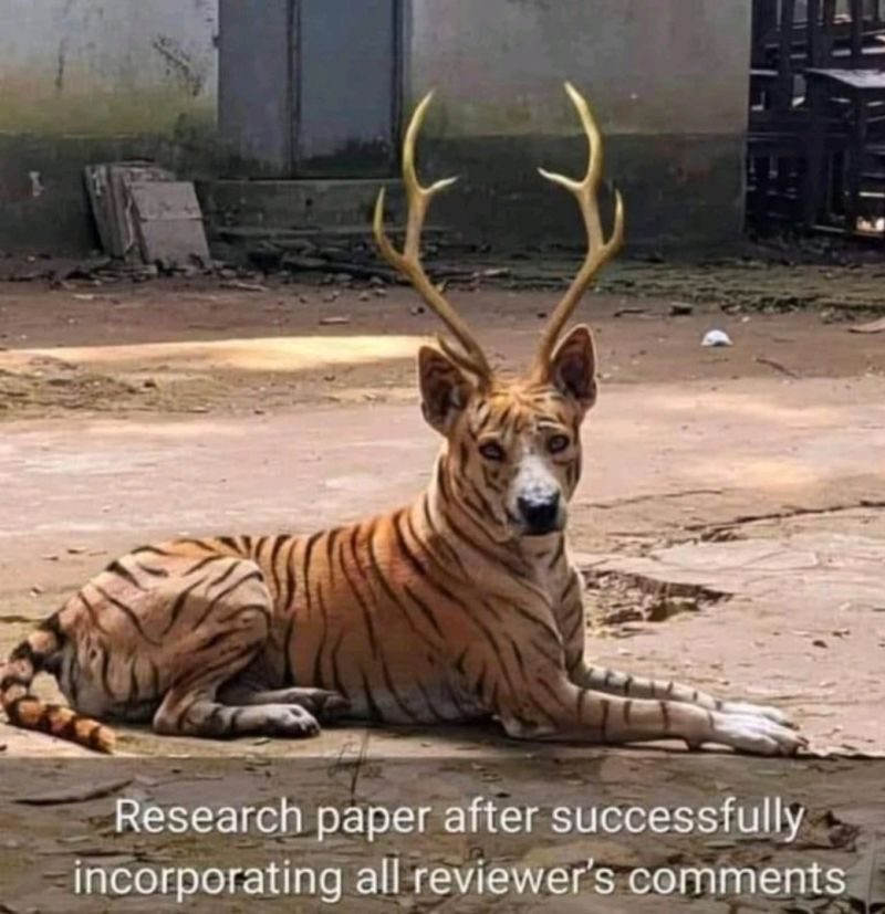 Prof Lennart Nacke, PhD tweet media