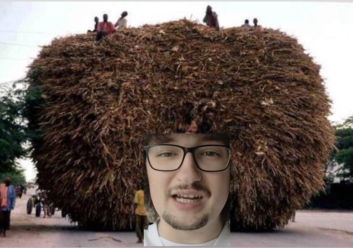 Patrick Martins tweet media