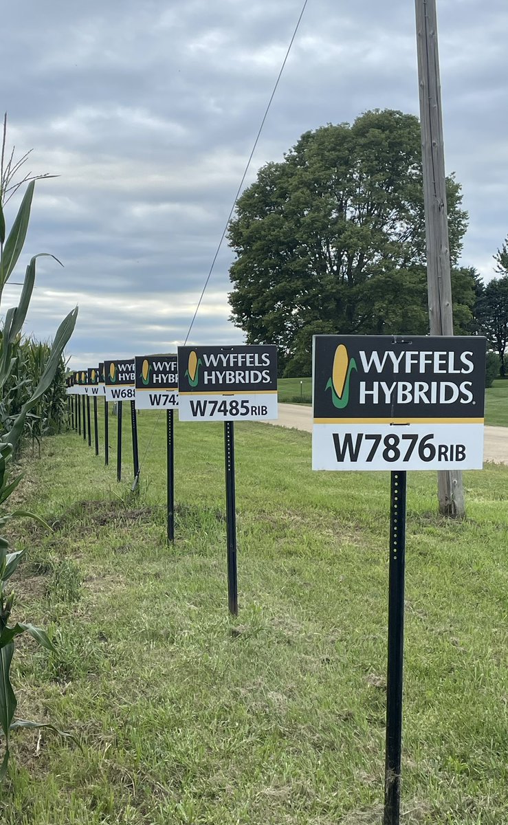 QuadeSteve's tweet photo. Another great night in northwest Illinois for @WyffelsHybrids! Thank you to our great customers for joining us! https://t.co/tzXaP2PiOH