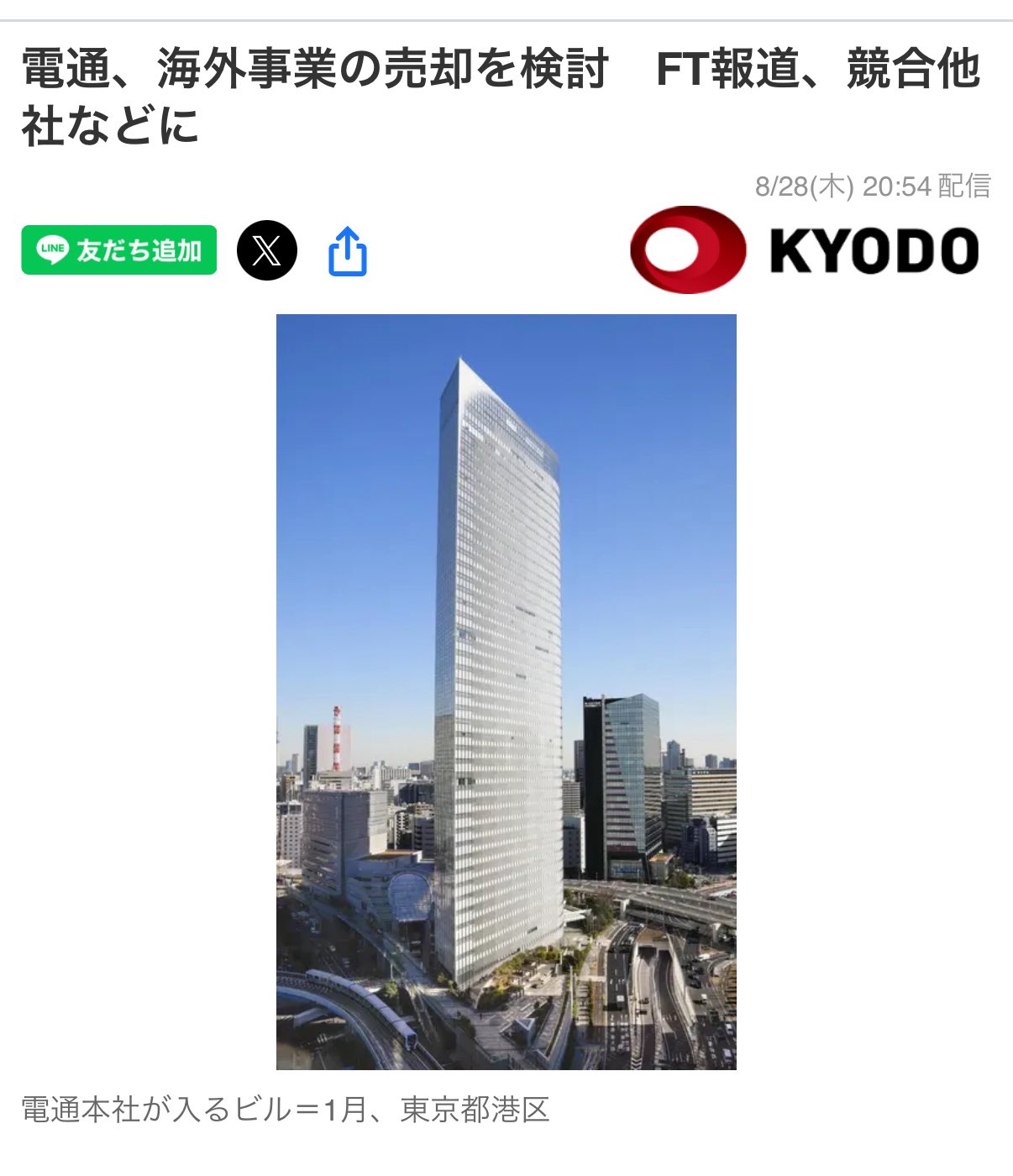 ❸ イワヒバ ( 岩松 ） 首長最上株物 ３０年以上コニファー 盆栽 激安 ➂ イワヒバ ( 岩松 ） 首長最上株物 30年以上コニファー 盆栽