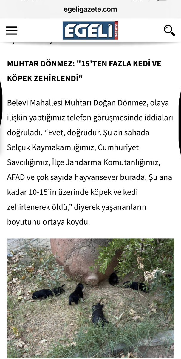 İzmir Selçuk’ta kimliği belirsiz kişiler başıboş kedi ve köpekleri zehirlemiş. 
Bu gibi üzücü ve halk sağlığı için son derece sakıncalı durumların yaşanmaması için başıboş hayvanlar derhal resmi görevlilerce toplanmalıdır. Aksi halde kontrolsüzce çevreye dağılmış leşler önü