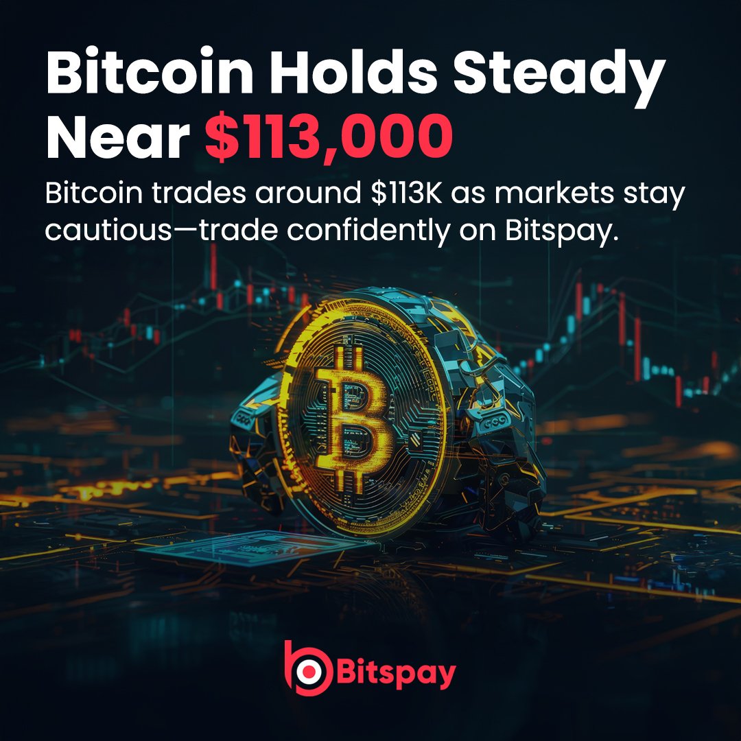 Bitspay (@bitspay_global) on Twitter photo 