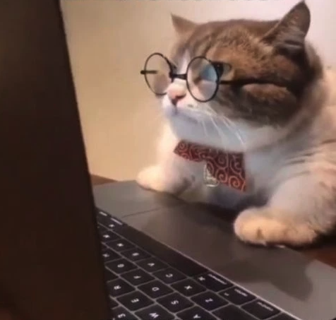 John van Rijck tweet media