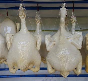 nongjakekub's tweet image. แย่มาก มานบอกเหมือนไก่สดที่โดนแขวนไว้ ละเหมือนจริง 555555555555555555555555555555555555555555555555555555555555555