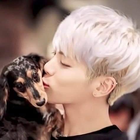 swimming_roo:

2010.3.5 - 2025.8.28
Roo-ya, thank you for being with us all this time😊
bec of you, we smiled a lot &amp; gained strength
I hope you find peace there🙏
You'll always be watching over my mom &amp; i, right?
I love u always💚🩵💜 miss u already

-
fly high, beautiful roo♥️