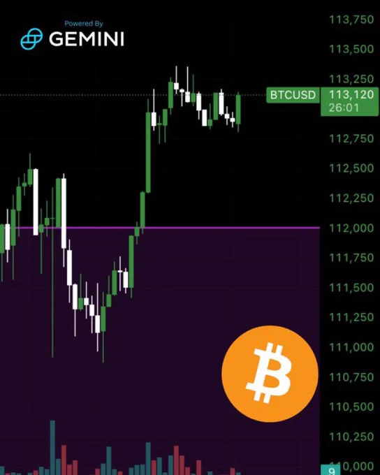 🟠BTC-ARCHIVE: "Bitcoin Ritorna Sopra i 113.000 Dollari"