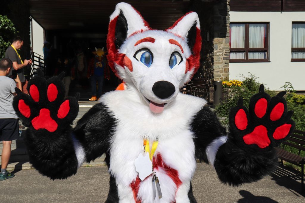 Hey hey! Take it easy! 😁
Take a good breath. Take your time. 
And when you feel comfortable... 
Come give me a hug! 🥰

📷 <a href="/lahafurry/">LahaRys</a> 
📍 ČeSFuR
#furry #fursuit #furryfandom #cosplay #PositiveVibes #FursuitEveryday