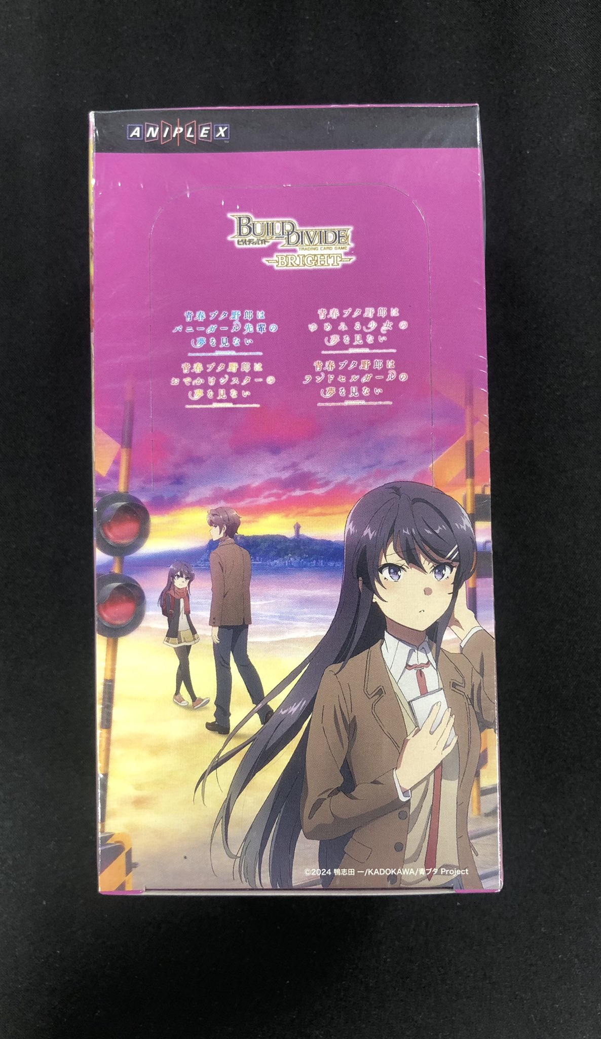 ビルディバイド ブライト 青ブタ 青春ブタ野郎カートン 未開封 ビル