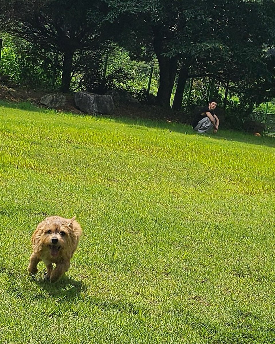 ㅁㅎㄹ ﾐﾋﾙ tweet media