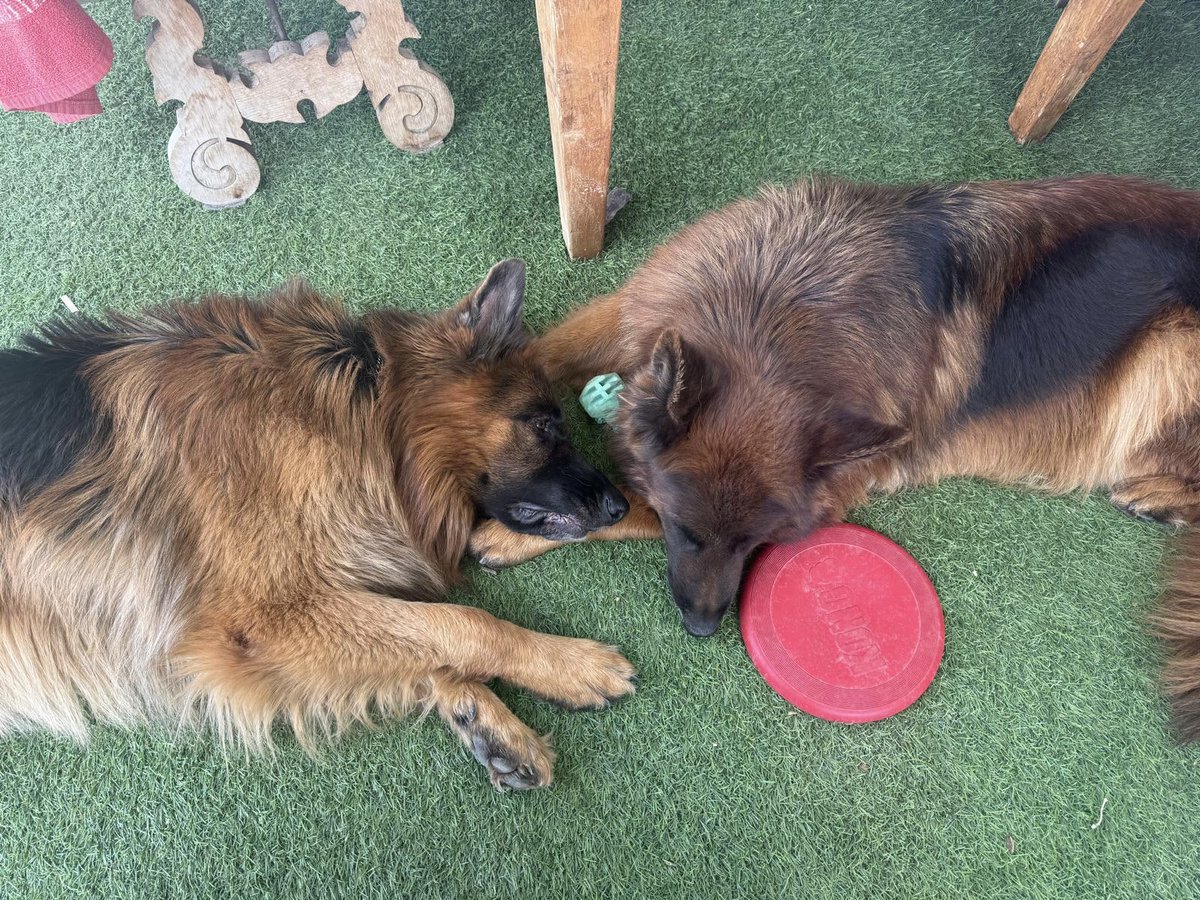 Esto es lo más bonito que vas a ver hoy.