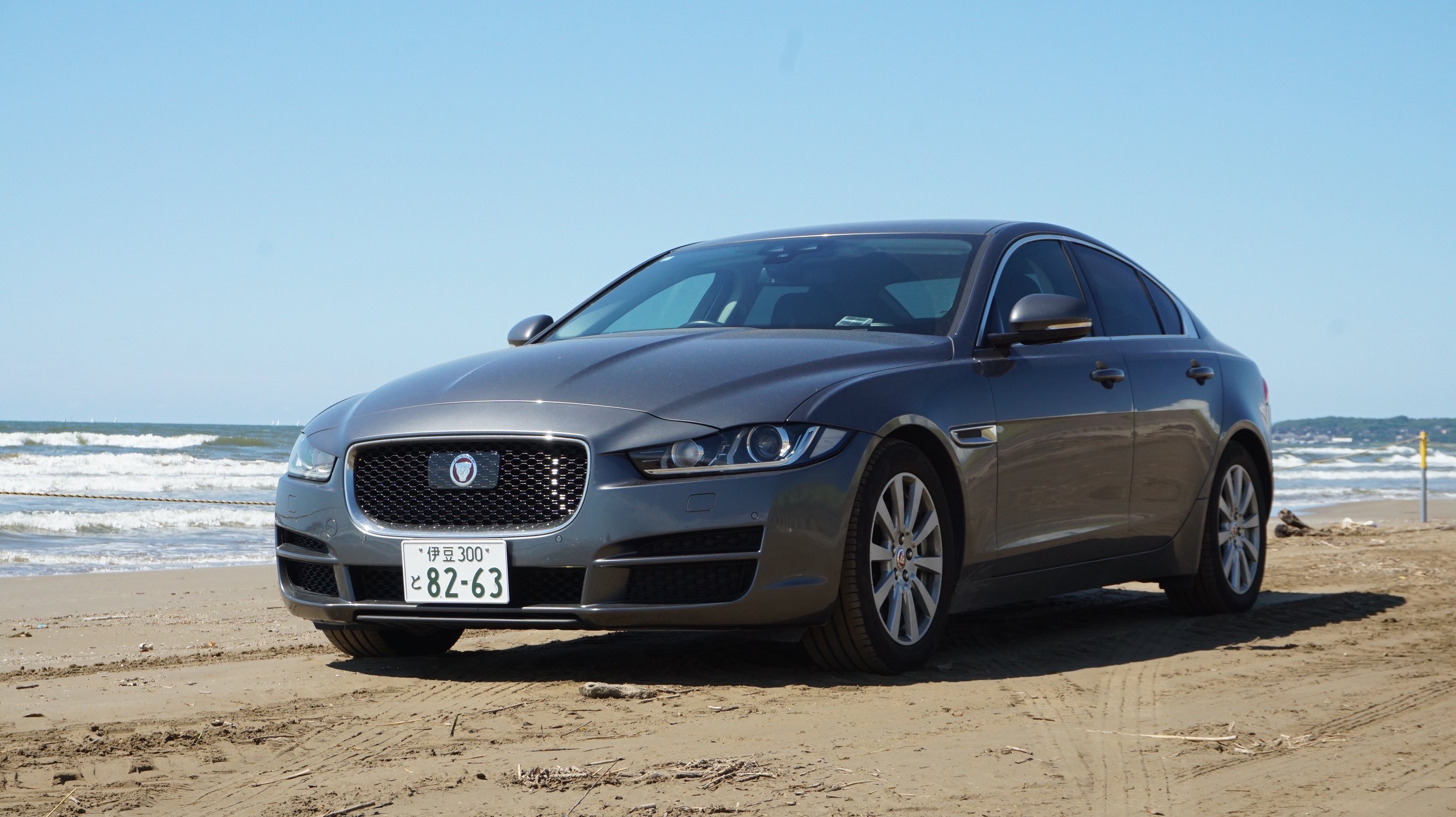 にゃんだ Amazon | NYANTA CLUB マルカン 猫 小中型犬用 自動給餌機