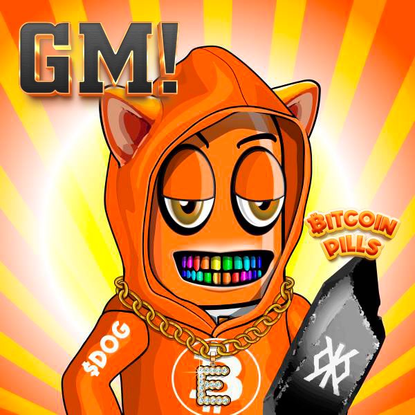 GM World ! 💊😎🚀 #Runes #Pills  &amp; $DOG lovers especially 🧡