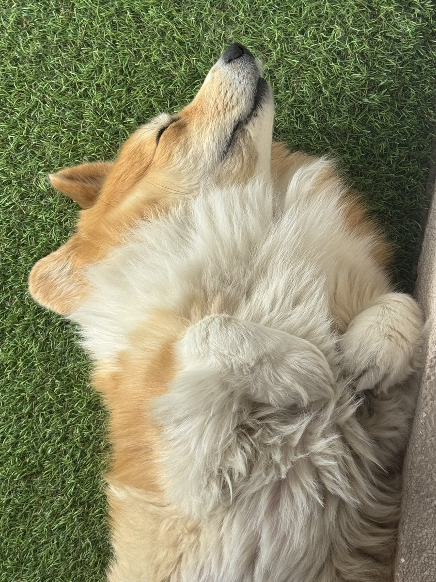 Коллеги, сегодня без нюдсов, просто посмотрим на самый сладкий слип на диком западе 😎