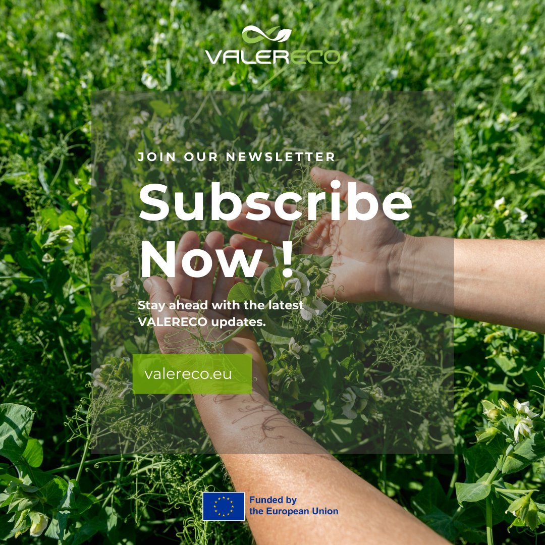 🌱 The 4th #VALERECO Newsletter is coming tomorrow! 

Subscribe now to be the first to explore project updates, field stories &amp; events: bit.ly/47iIwbA

#HorizonEU #Agroecology #EcosystemServices #LivingLabs #SustainableFarming