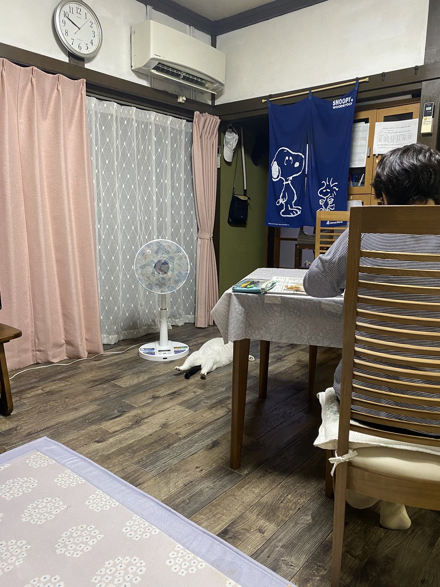 tsurukameryu's tweet photo. 日常の如く https://t.co/C5jhvg93MI