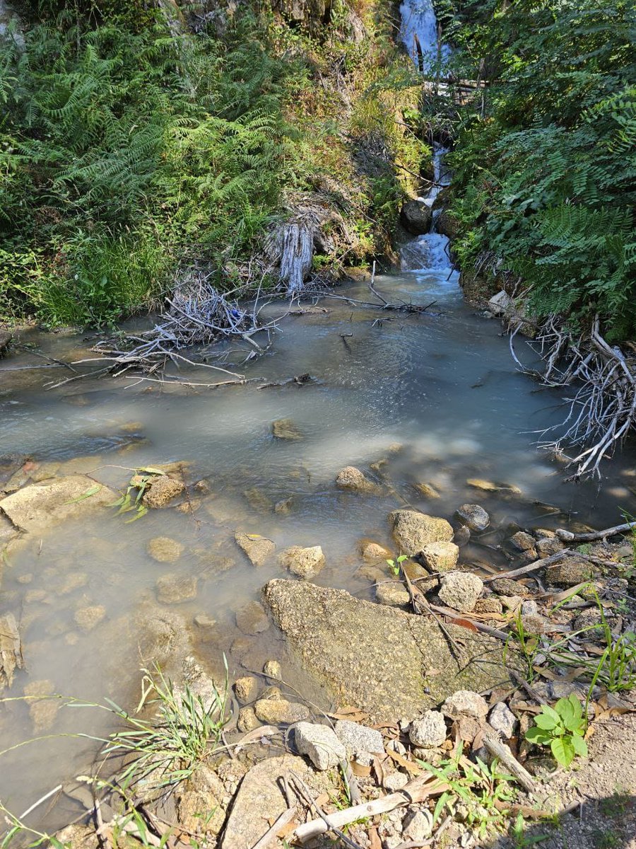 O veleno que contamina a nosa aldea. Así baixa hoxe o noso río, e así leva varios días. Unha lacra que non damos parado. A ver se sabedes que empresa o provoca?  Pista: é unha multinacional que factura miles de millóns de euros explotando os nosos recursos naturais.