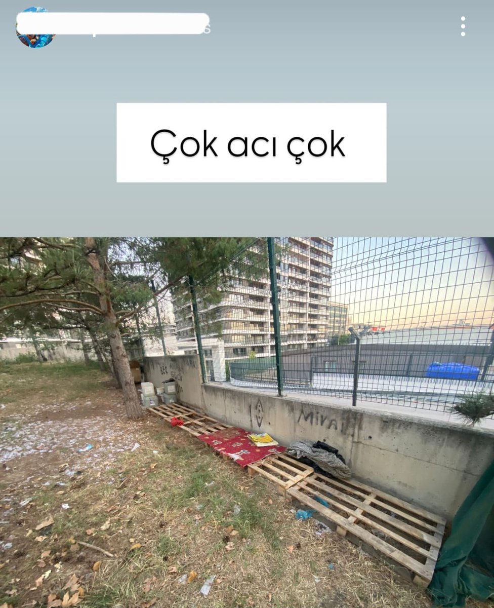 Koçovalı (@kocovaliturk) on Twitter photo Hala sokaklara köpek kulübesi koyuyorlar. <a href="/AnkaraValiligi/">T.C. Ankara Valiliği</a> ve <a href="/ankarabbld/">Ankara Büyükşehir</a> gerekeni yapmış. Sadece twit atmakla hiçbir şeyi değiştiremezsiniz arkadaşlar. Bu tür şeyleri hem valiliğe hem de belediyeye ihbar edin. Sokaklardaki köpek kulübelerin kaldırmak ZORUNDALAR! Hala sokaklara köpek kulübesi koyuyorlar. <a href="/AnkaraValiligi/">T.C. Ankara Valiliği</a> ve <a href="/ankarabbld/">Ankara Büyükşehir</a> gerekeni yapmış. Sadece twit atmakla hiçbir şeyi değiştiremezsiniz arkadaşlar. Bu tür şeyleri hem valiliğe hem de belediyeye ihbar edin. Sokaklardaki köpek kulübelerin kaldırmak ZORUNDALAR!