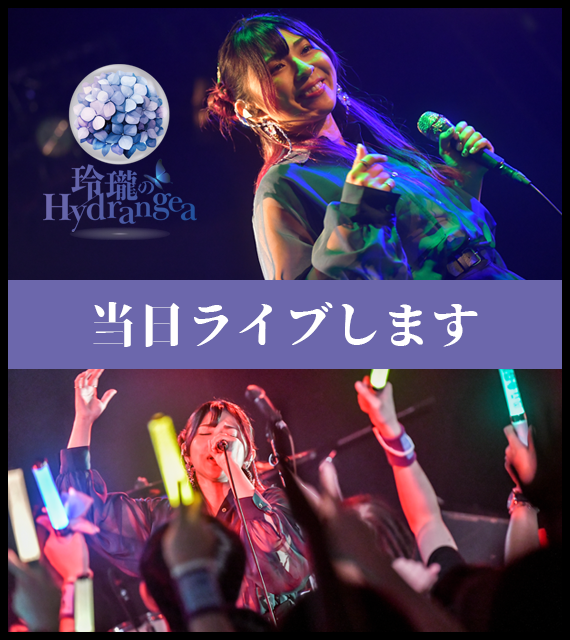 大⑨州東方祭２ TAM LIVE：未使用品CD 大⑨州東方祭2 TAM LIVE：未使用品CD