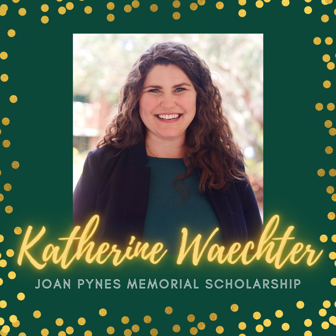 USF School of Public Affairs tweet media