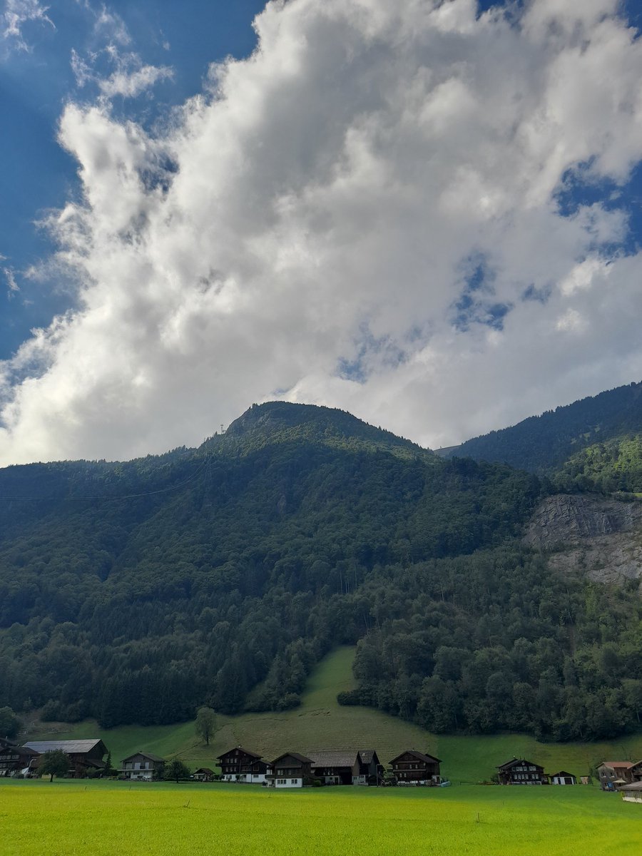 Şurada Muhammed İsa hocayla bir tefsir dersi hayali