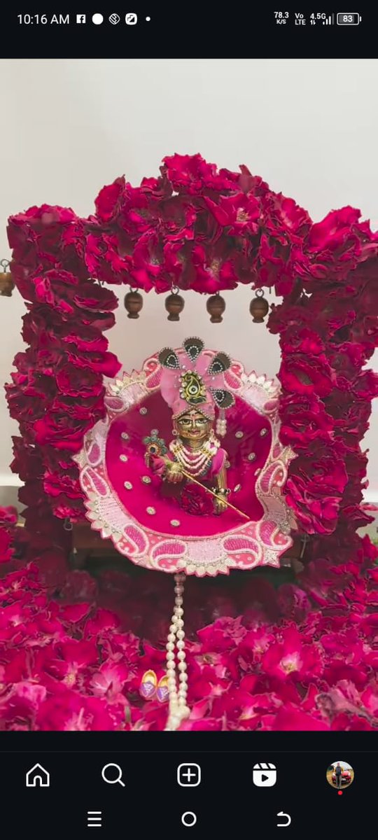 Shri Radhe Radhe🙏