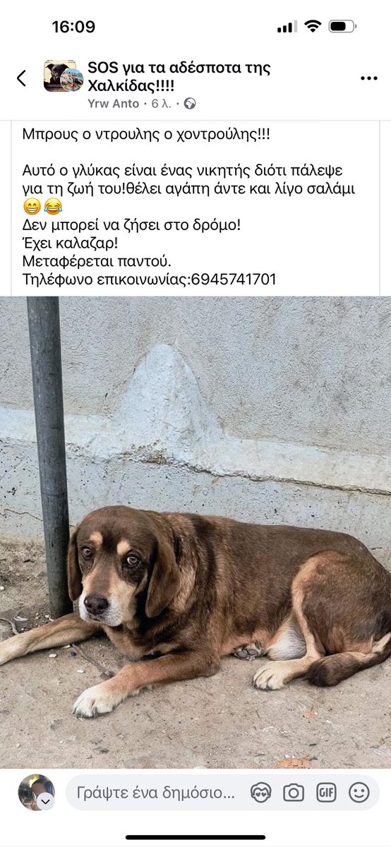 Προς Υπεύθυνη Υιοθεσία