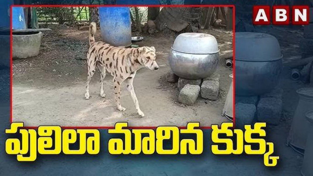 PSK 🦂🚩 (@psk_71) on Twitter photo 