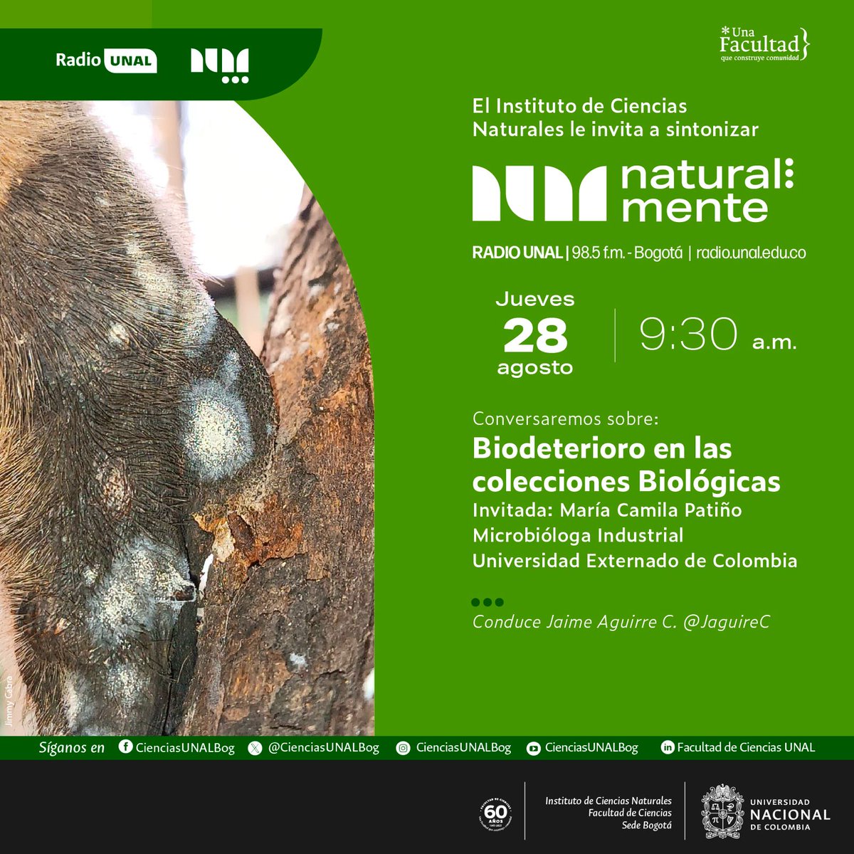 🦠✨ ¿Sabías que los microorganismos también pueden deteriorar nuestras colecciones biológicas?

Hoy a las 9:30 a.m. en <a href="/RadioUNAL/">Radio UNAL</a> 98.5 , conversaremos en Natural...mente sobre el Biodeterioro en las colecciones biológicas.

🎙 Invitada: María Patiño
Microbióloga Industrial