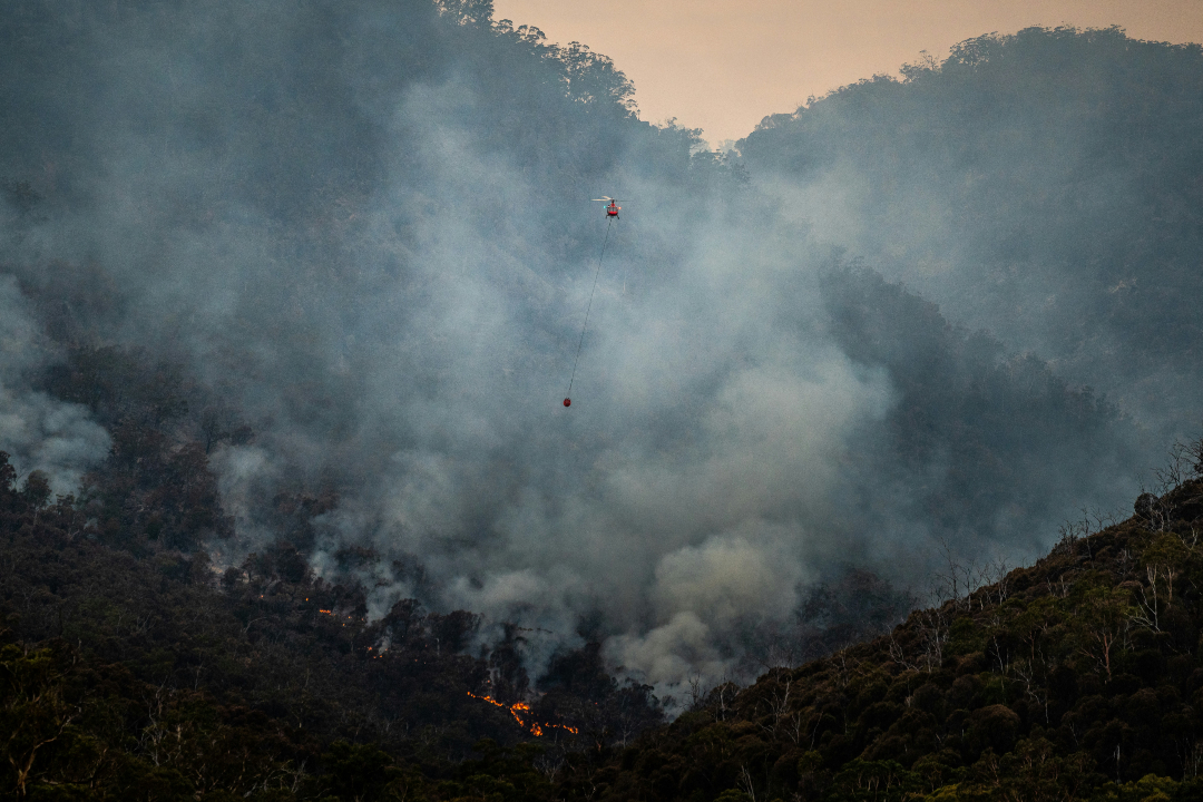 Foto cedida por Ministerio del Interior