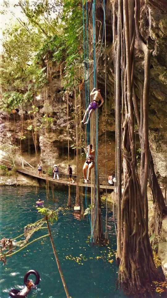 MayaAldea's tweet photo. CABAÑAS Y CENOTES EN EK BALAM, YUCATÁN  🇲🇽 Contáctenos  👉 https://t.co/IfuKiudTzb 👈 
Cabañas, cenotes, la zona arqueológica y el pueblo artesanal. Agrega a tu estancia 👇
👉 Alimentos
👉 Zona arqueológica
👉 Cenote xcanché con bicis, rapel y tirolesa

#ekbalam #AldeaMaya https://t.co/VMT7rl4xRw