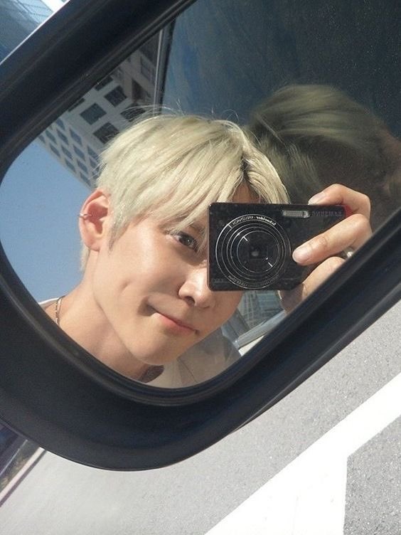 Woodsy Corner. tweet media