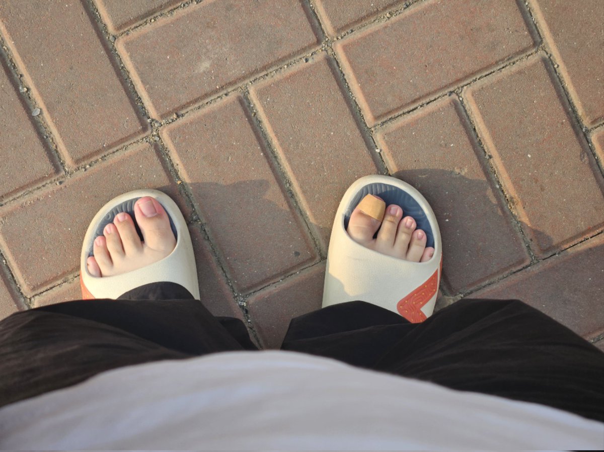 怀念金石滩的证据：