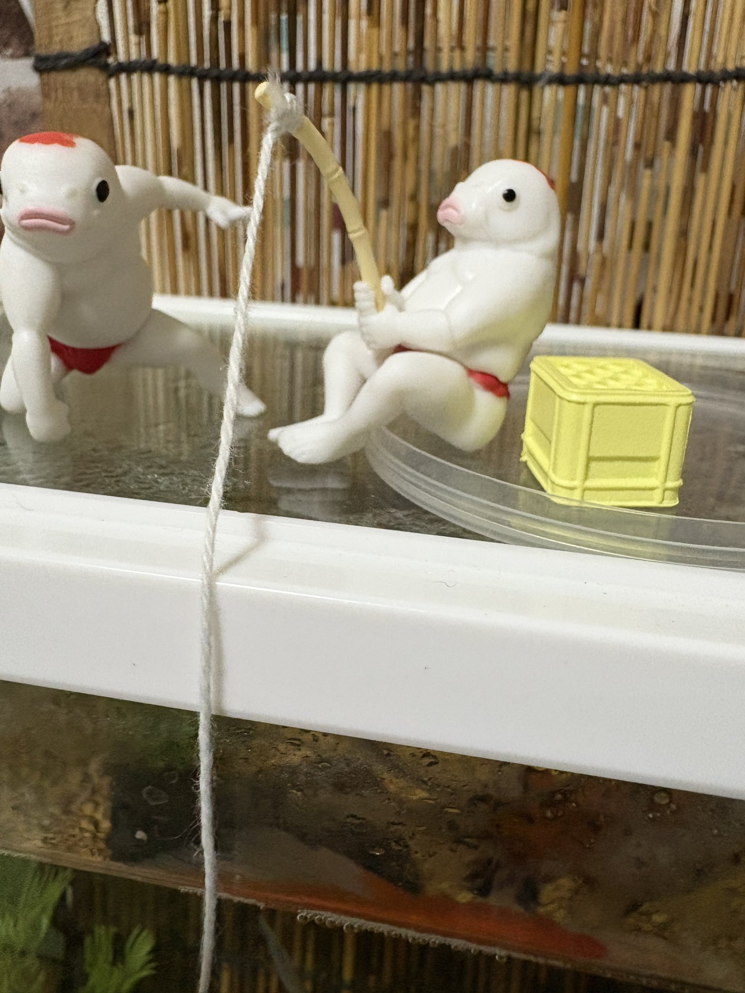 汚れたコイマン 汚れたコイマン 汚れたコイマン Amazon | 鯉人 KOI MAN【全6種セット