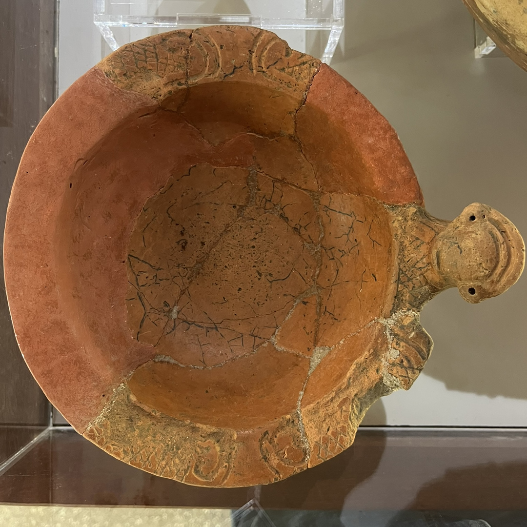 Museu da Amazônia tweet media