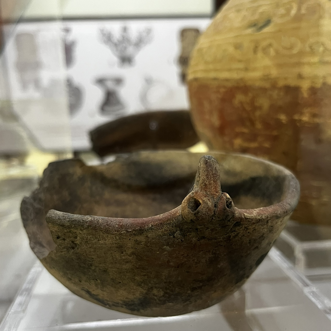 Museu da Amazônia tweet media