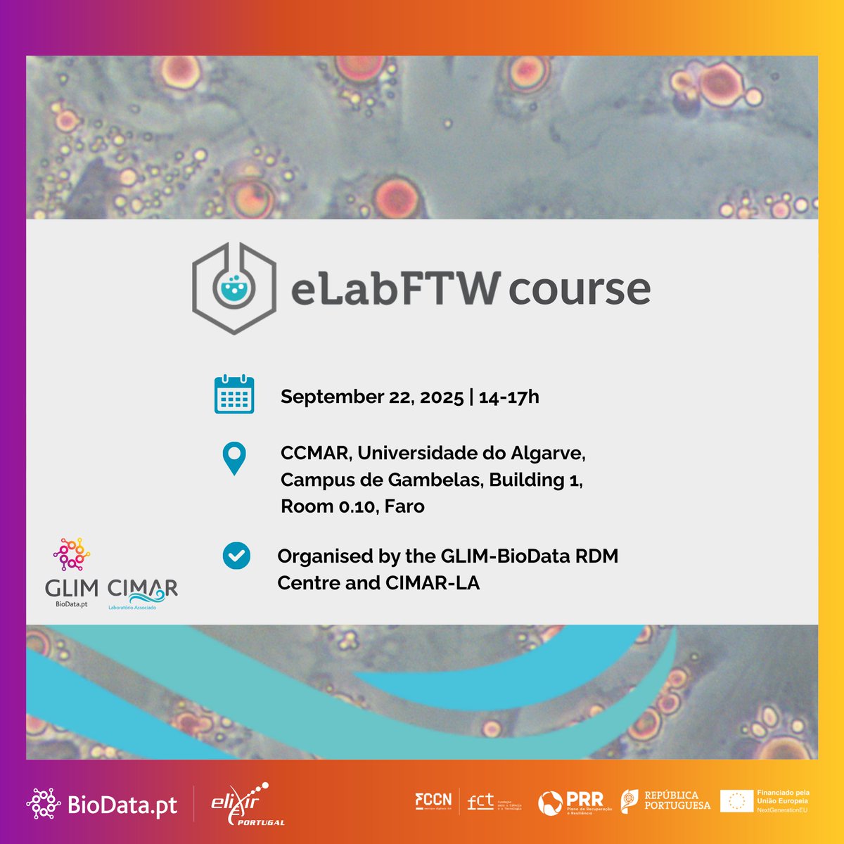 📢Join our eLabFTW hands-on course!
🗓️Sept 22, 2025 | 14:00–17:00
📍 CCMAR, Univ. Algarve (Faro)
🔹Learn to use eLabFTW, the open-source ELN for managing &amp; sharing experiments, and RDM best practices for life sciences!
events.biodata.pt/event/13/

#BioData_pt #GLIM_BioData #CIMARLA