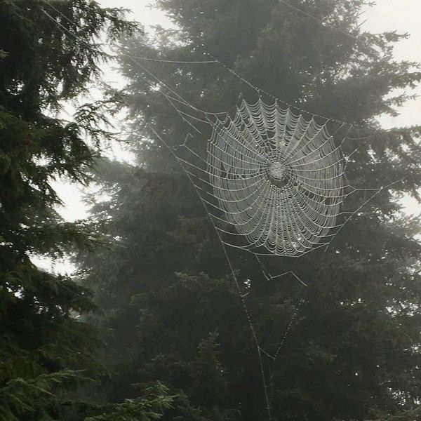 autumn girl tweet media