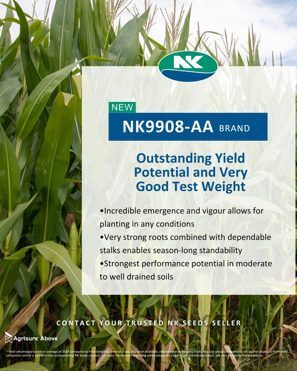 This new hybrid is eager to please, with impressive vigor and flexible placement at a popular RM. Check out this hybrid and the rest of our all-star lineup for 2026.
bit.ly/4mFO1Wy