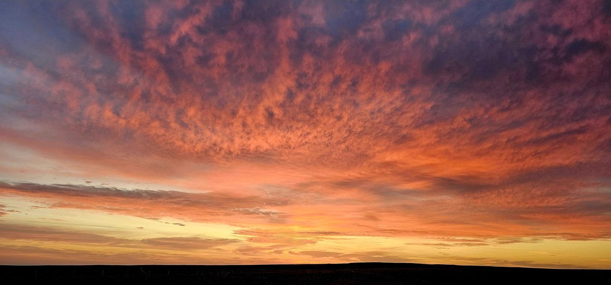 When you live on the High Line in northern Montana, you’ve got to get up before dawn to be anywhere on time. 

That has its benefits though. 

📸 from Linda Poole, our forest and range program director, on her way to a stockmanship clinic.

#lifeofalandowner #lifeofarancher