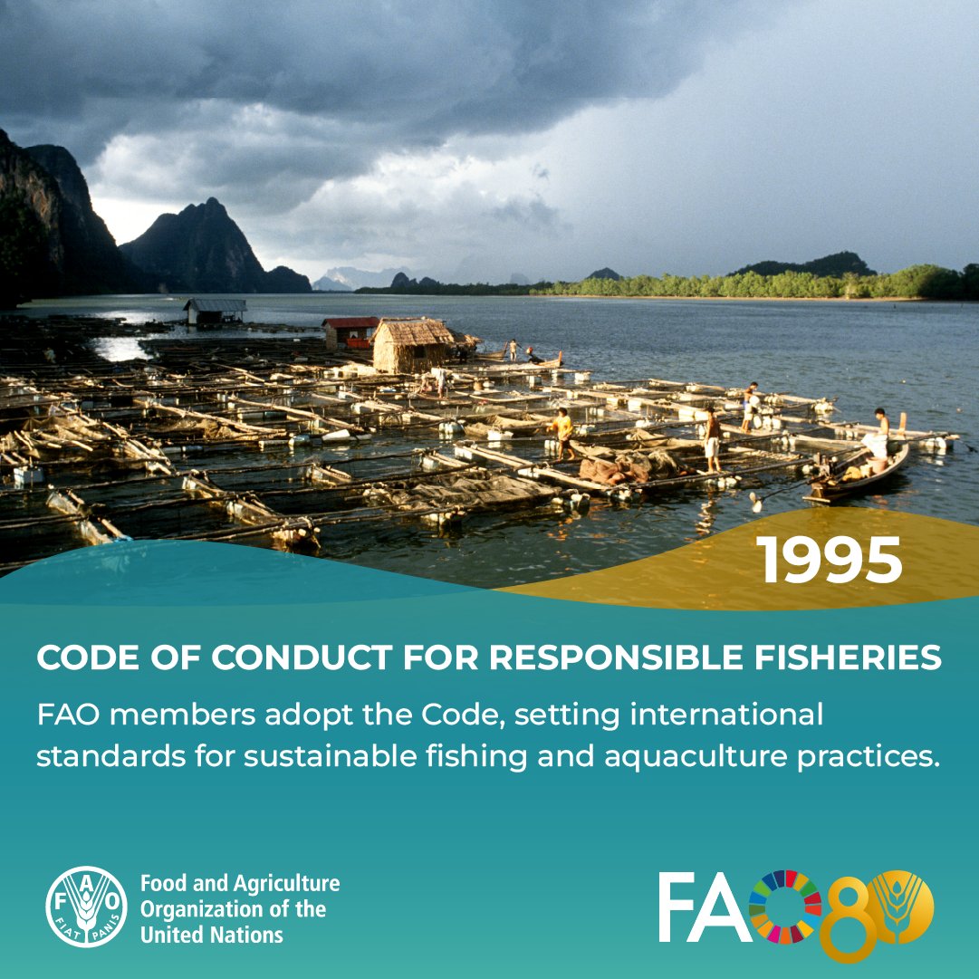 1⃣9⃣9⃣5⃣: #ThrowbackThursday to the adoption of the <a href="/FAO/">Food and Agriculture Organization</a> Code of Conduct for Responsible Fisheries.

The Code sets global standards to make fisheries and aquaculture more resilient, equitable &amp; sustainable for people and the planet 👉 openknowledge.fao.org/handle/20.500.…