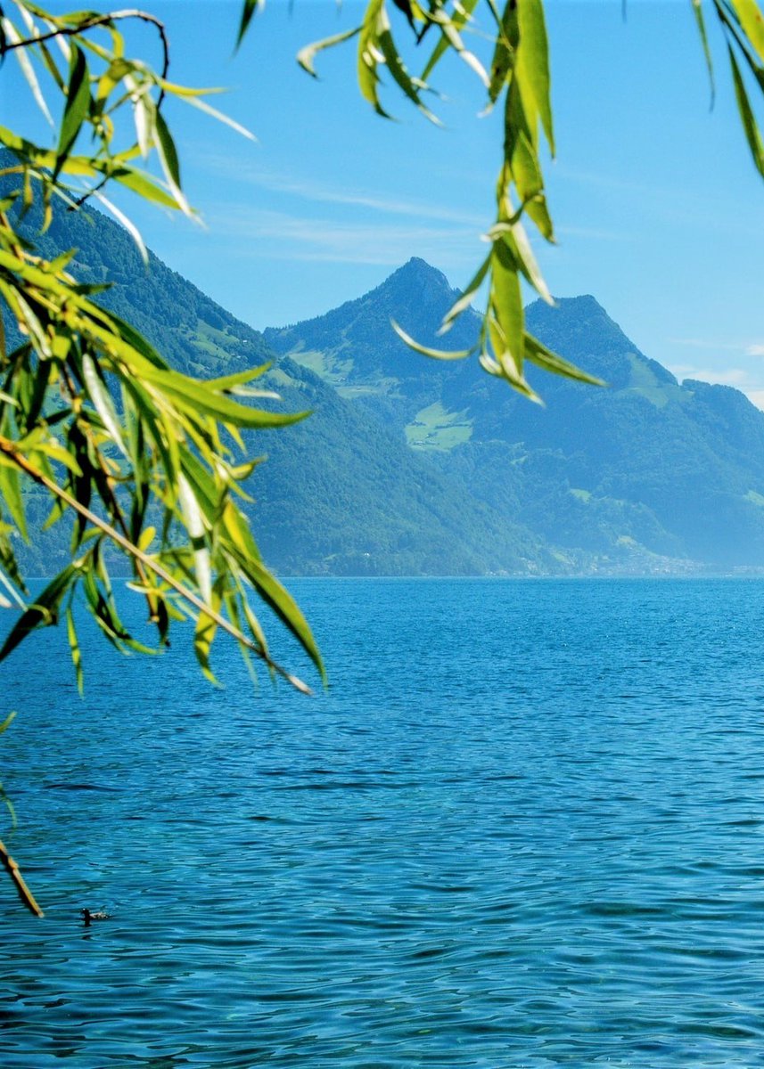 Lake Lucerne-Switzerland.