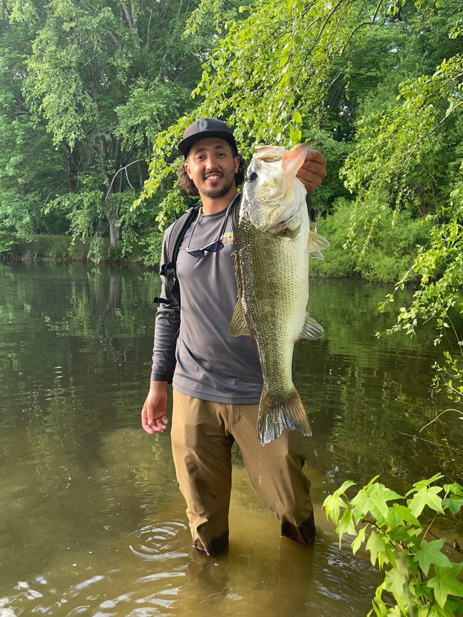 TPM10's tweet photo. Fall is prime time for stocking ponds &amp; lakes! From bass to grass carp, we create custom plans for thriving fisheries.
👉 https://t.co/BtwO8mZmYJ https://t.co/8aNpD3Y8Ry